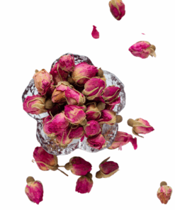 Pure Red Rose